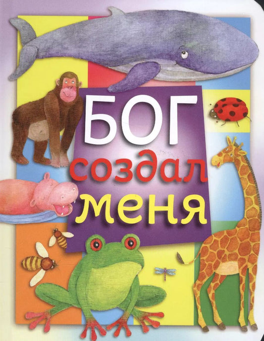 Обложка книги "Бэтан Джеймс: Бог создал меня"