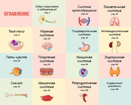 Фотография книги "Бетти Чой: Тело человека. Домашняя лаборатория для детей"