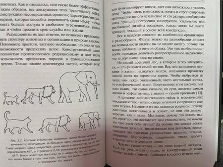 Фотография книги "Бежан: Физика жизни. Эволюция всего на свете"