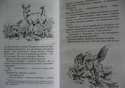 Фотография книги "Бианки: Чей нос лучше?"