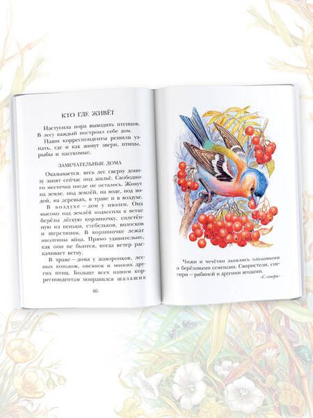 Фотография книги "Бианки: Лесная газета. Рассказы"