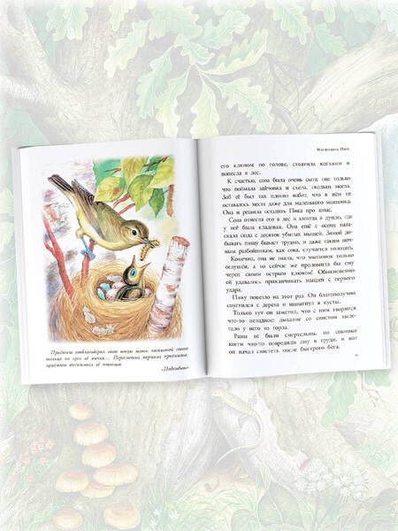 Фотография книги "Бианки: Мышонок Пик. Рассказы о животных"