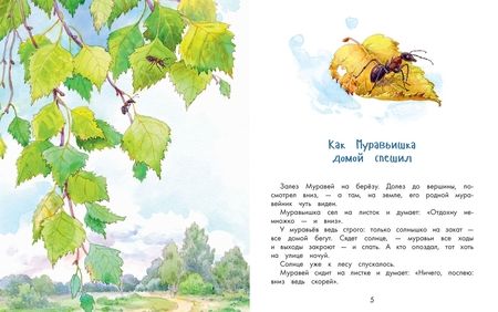 Фотография книги "Бианки: Про Мишку и Муравьишку. Лесные рассказы"