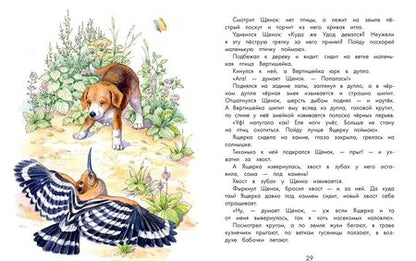 Фотография книги "Бианки: Про Мишку и Муравьишку. Лесные рассказы"