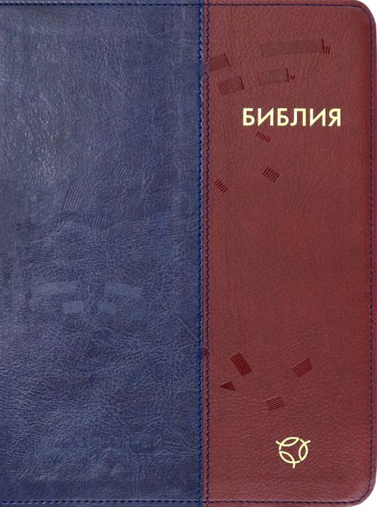 Обложка книги "Библия. Современный русский перевод"