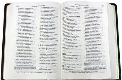 Фотография книги "Библия. Современный русский перевод"