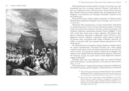 Фотография книги "Библия, изложенная для семейного чтения"