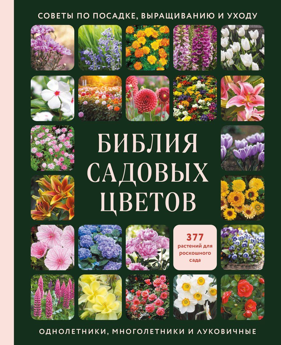Обложка книги "Библия садовых цветов. Однолетники, многолетники и луковичные. Советы по посадке, выращиванию и уходу"