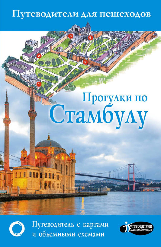Обложка книги "Бичанина: Прогулки по Стамбулу"