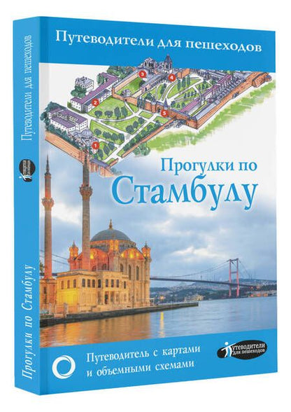 Фотография книги "Бичанина: Прогулки по Стамбулу"