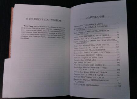 Фотография книги "Бигл, Блэк, Мартин: Фантастический Нью-Йорк. Истории из города, который никогда не спит"