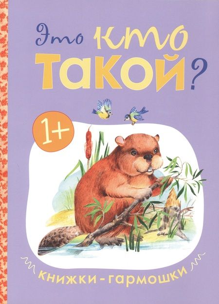 Фотография книги "Билецкая: Книжки-гармошки (комплект из 4 книг)"