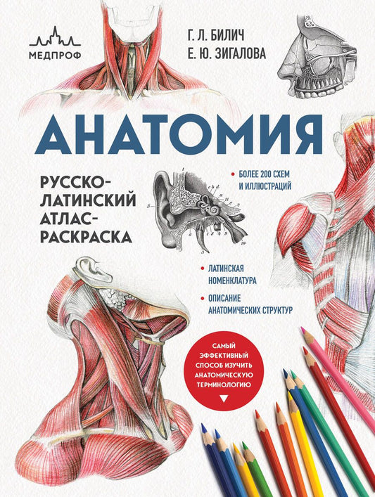 Обложка книги "Билич: Анатомия. Русско-латинский атлас-раскраска"