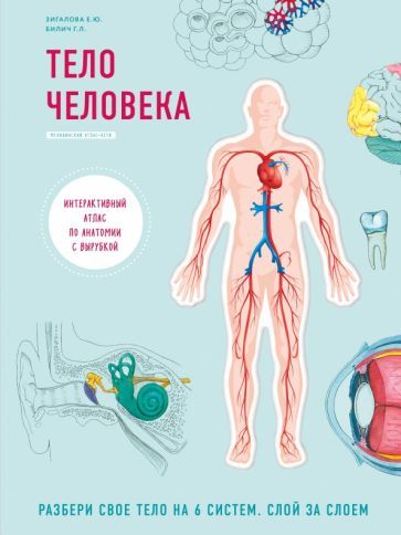 Обложка книги "Билич: Тело человека. Интерактивный атлас по анатомии с вырубкой. Разбери свое тело на 6 систем"
