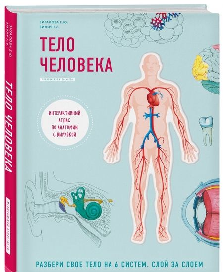 Фотография книги "Билич: Тело человека. Интерактивный атлас по анатомии с вырубкой. Разбери свое тело на 6 систем"