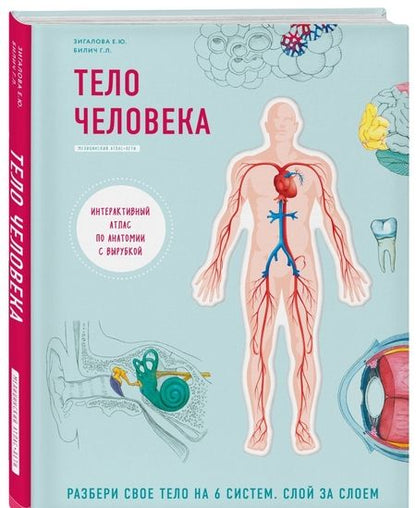 Фотография книги "Билич: Тело человека. Интерактивный атлас по анатомии с вырубкой. Разбери свое тело на 6 систем"