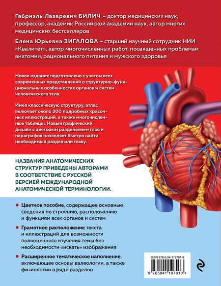 Фотография книги "Билич, Зигалова: Анатомия человека. Современный атлас с подробными иллюстрациями"