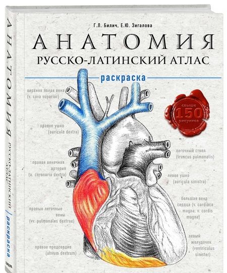 Фотография книги "Билич, Зигалова: Анатомия: русско-латинский атлас-раскраска"