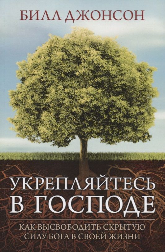 Обложка книги "Билл Джонсон: Укрепляйтесь в Господе Как высвободить скрытую силу Бога в своей жизни (м) Джонсон (160с.)"