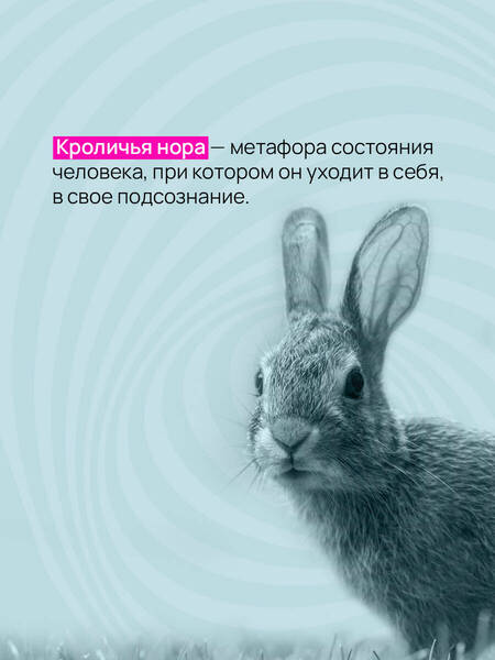 Фотография книги "Биллингхэм: Вниз по кроличьей норе"