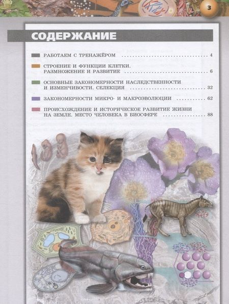 Фотография книги "Биология. 10-11 классы. Тетрадь-тренажер. Учебное пособие. Базовый уровень"