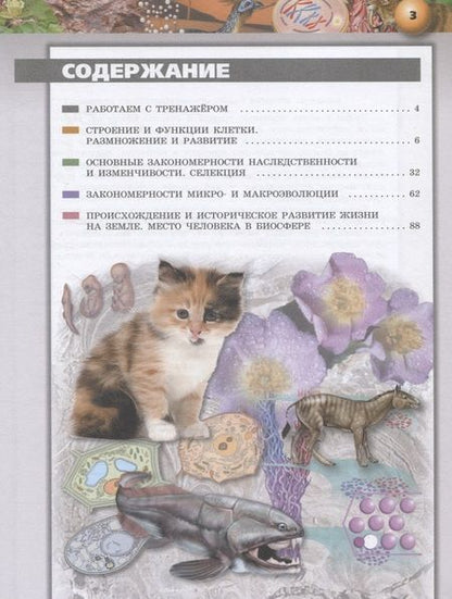 Фотография книги "Биология. 10-11 классы. Тетрадь-тренажер. Учебное пособие. Базовый уровень"