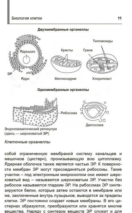 Фотография книги "Биология. Школьный курс. Карманный репетитор"