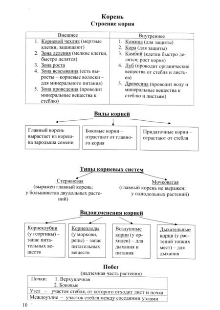 Фотография книги "Биология в таблицах и схемах"