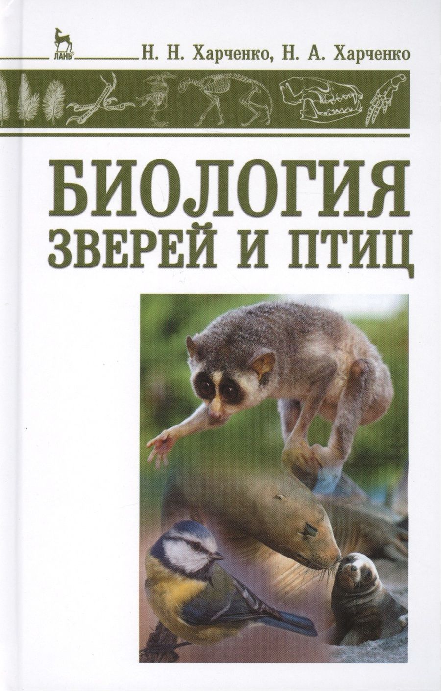 Обложка книги "Биология зверей и птиц: учебник"