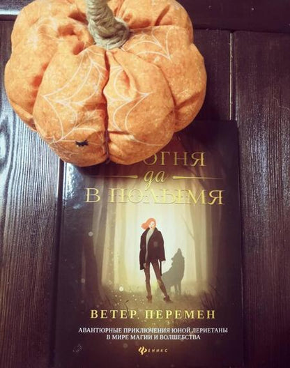 Фотография книги "Бирюкова: Из огня да в полымя. Книга 1. Ветер перемен"
