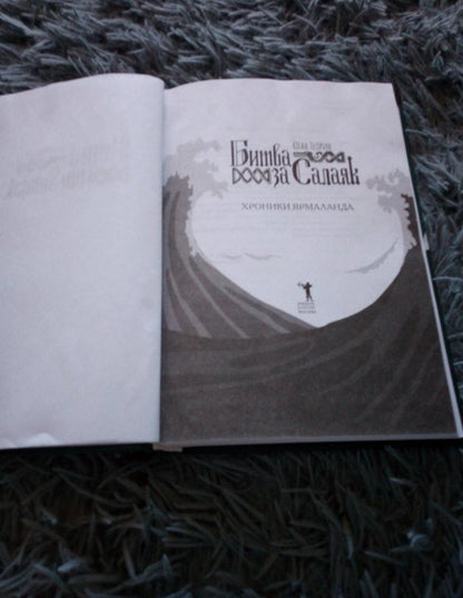 Фотография книги "Битва за Салаяк"
