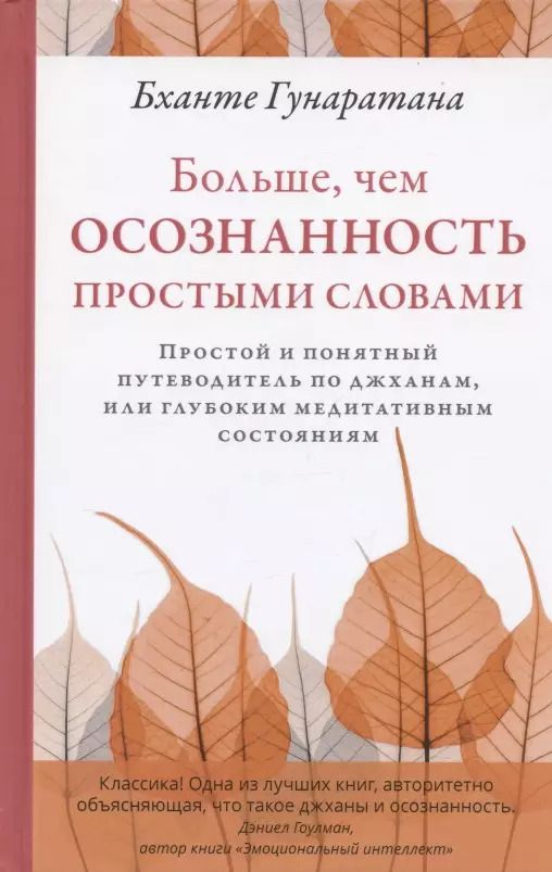 Обложка книги "Бханте Гунаратана: Больше, чем осознанность простыми словами"