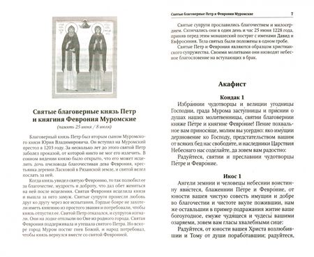 Фотография книги "Благодатный покров. Акафисты читаемые в семейных нуждах"