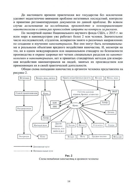 Фотография книги "Блинов, Полякова, Соколов: Неорганические наноматериалы в медицине и онкологии. Экологические аспекты и риски"