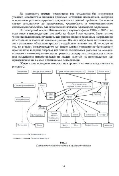 Фотография книги "Блинов, Полякова, Соколов: Неорганические наноматериалы в медицине и онкологии. Экологические аспекты и риски"