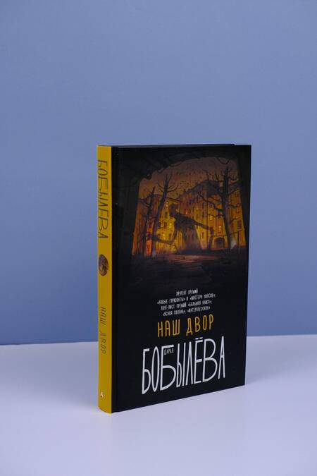 Фотография книги "Бобылева: Наш двор"