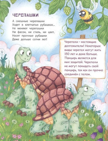 Фотография книги "Боброва: В небе и на земле"