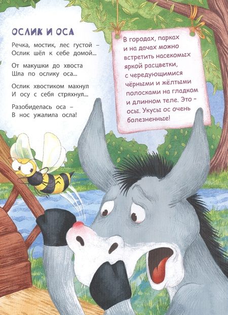 Фотография книги "Боброва: В небе и на земле"