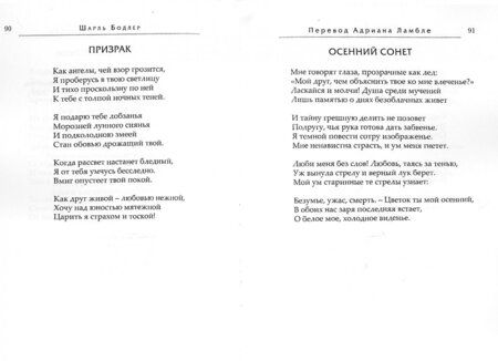 Фотография книги "Бодлер: Цветы Зла"