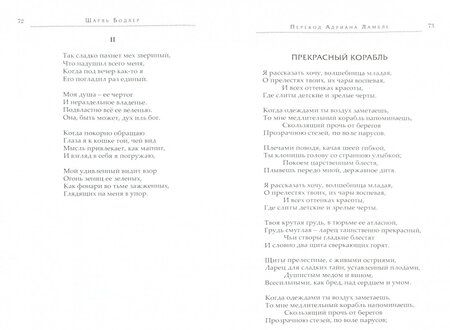 Фотография книги "Бодлер: Цветы Зла"