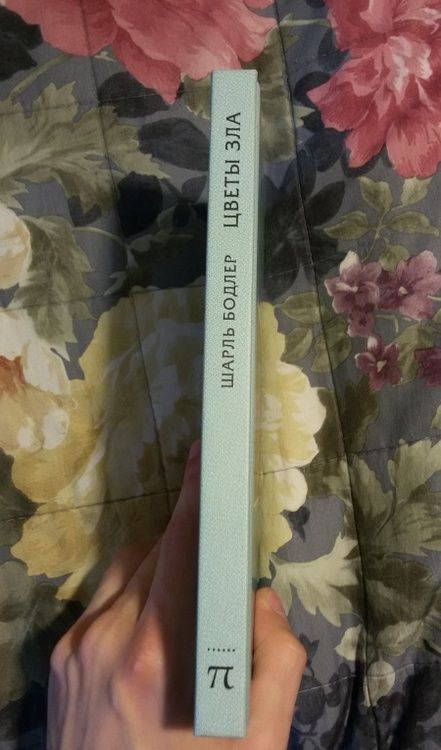 Фотография книги "Бодлер: Цветы Зла"