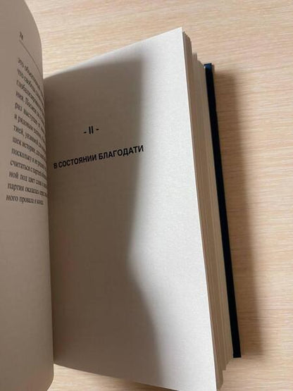 Фотография книги "Бодрийяр: Божественное левое движение"