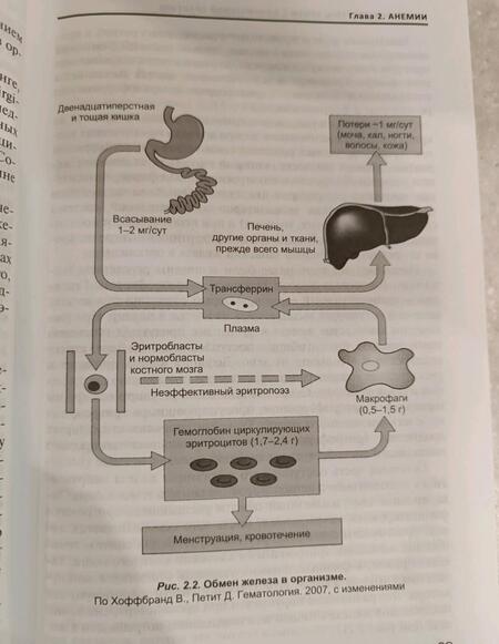Фотография книги "Богданов, Волошин, Кулибаба: Изменения системы крови в клинической практике"
