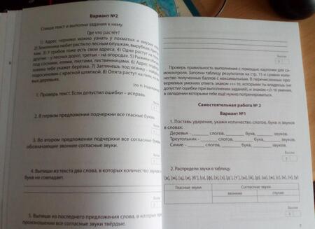 Фотография книги "Богданова, Разагатова: Русский язык. 4 класс. Организация подготовки к ВПР. Рабочая тетрадь"