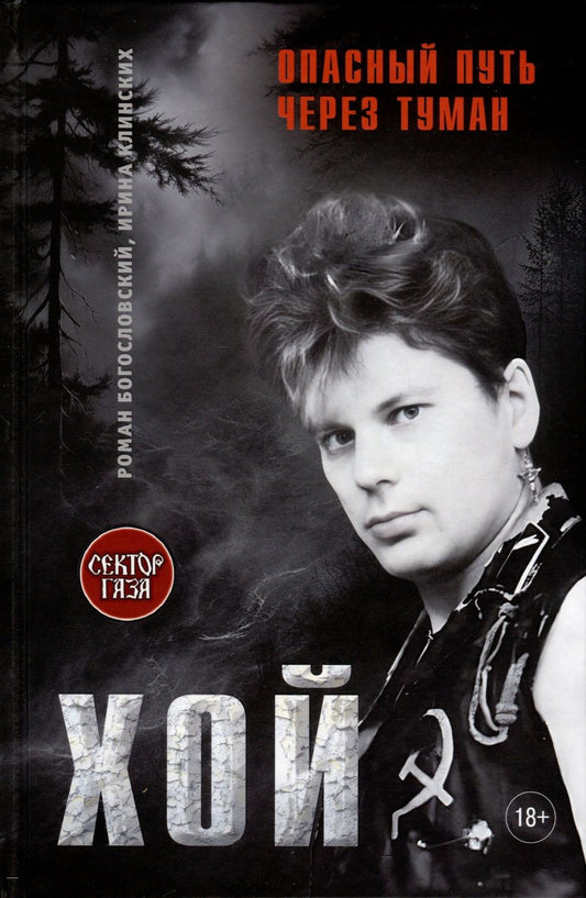 Обложка книги "Богословский, Клинских: Хой. Опасный путь через туман"