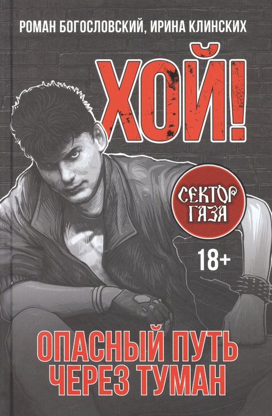 Обложка книги "Богословский, Клинских: Хой! Опасный путь через туман"