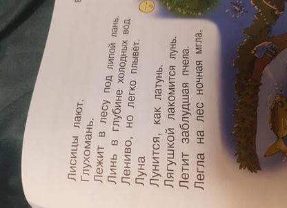 Фотография книги "Бойкина, Виноградская: Литературное чтение. 1 класс. Рабочая тетрадь. ФГОС"