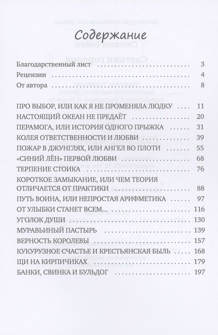 Фотография книги "Бойко: Светкин городок. Детские рассказы для взрослых"