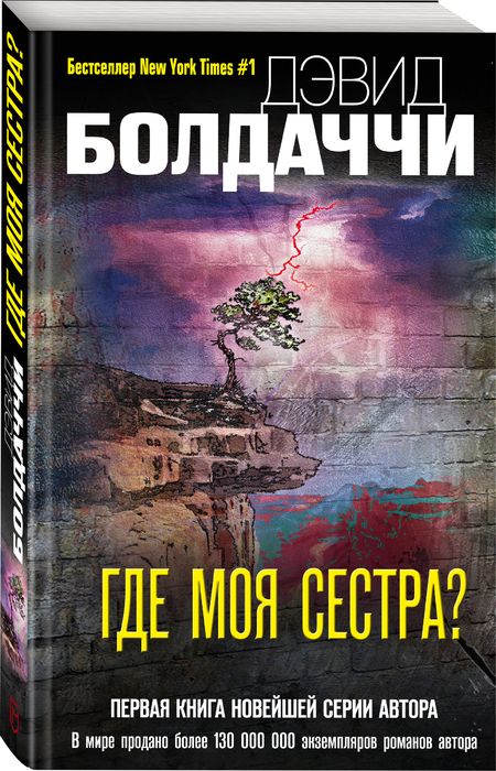 Фотография книги "Болдаччи: Где моя сестра?"