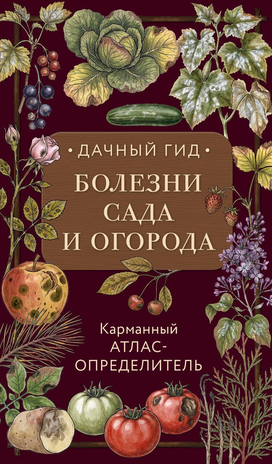 Обложка книги "Болезни сада и огорода. Карманный атлас-определитель"